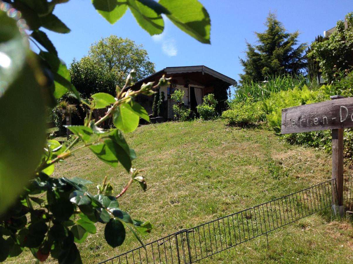 Ferienwohnung Casa Natura Reichelsheim ภายนอก รูปภาพ